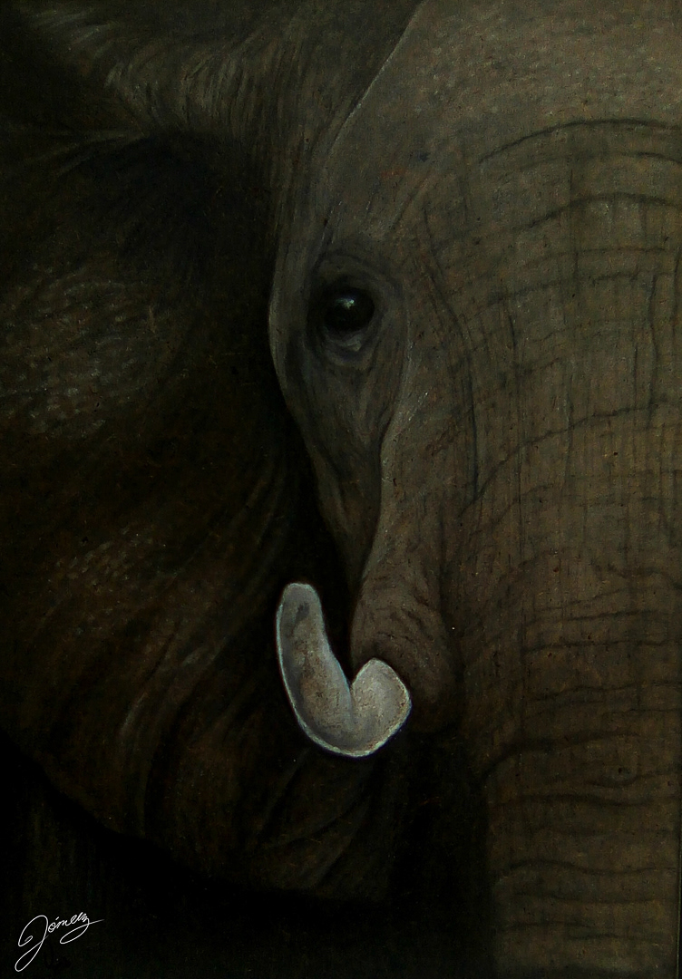 animals art arte artwork elephant encaustic encaustic painting Oilpastel wax