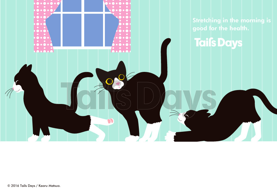 TailsDays Cat02