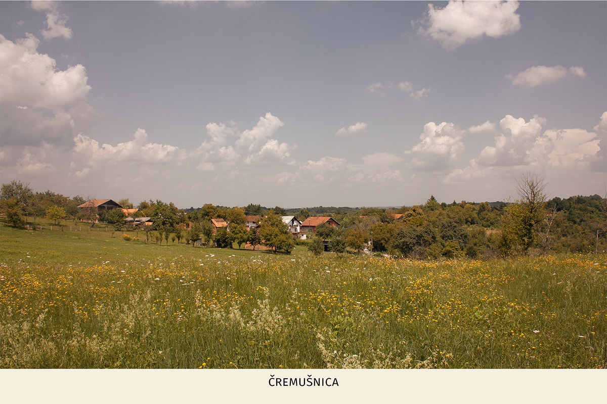 Croatia RoadTrip hrvatska Kroatien dalmatia istria sisak-moslavina Photography  Landscape amazing