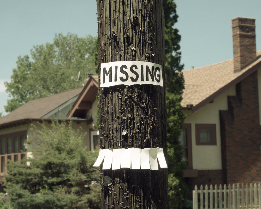 lost found sign telephonepole wanted signs