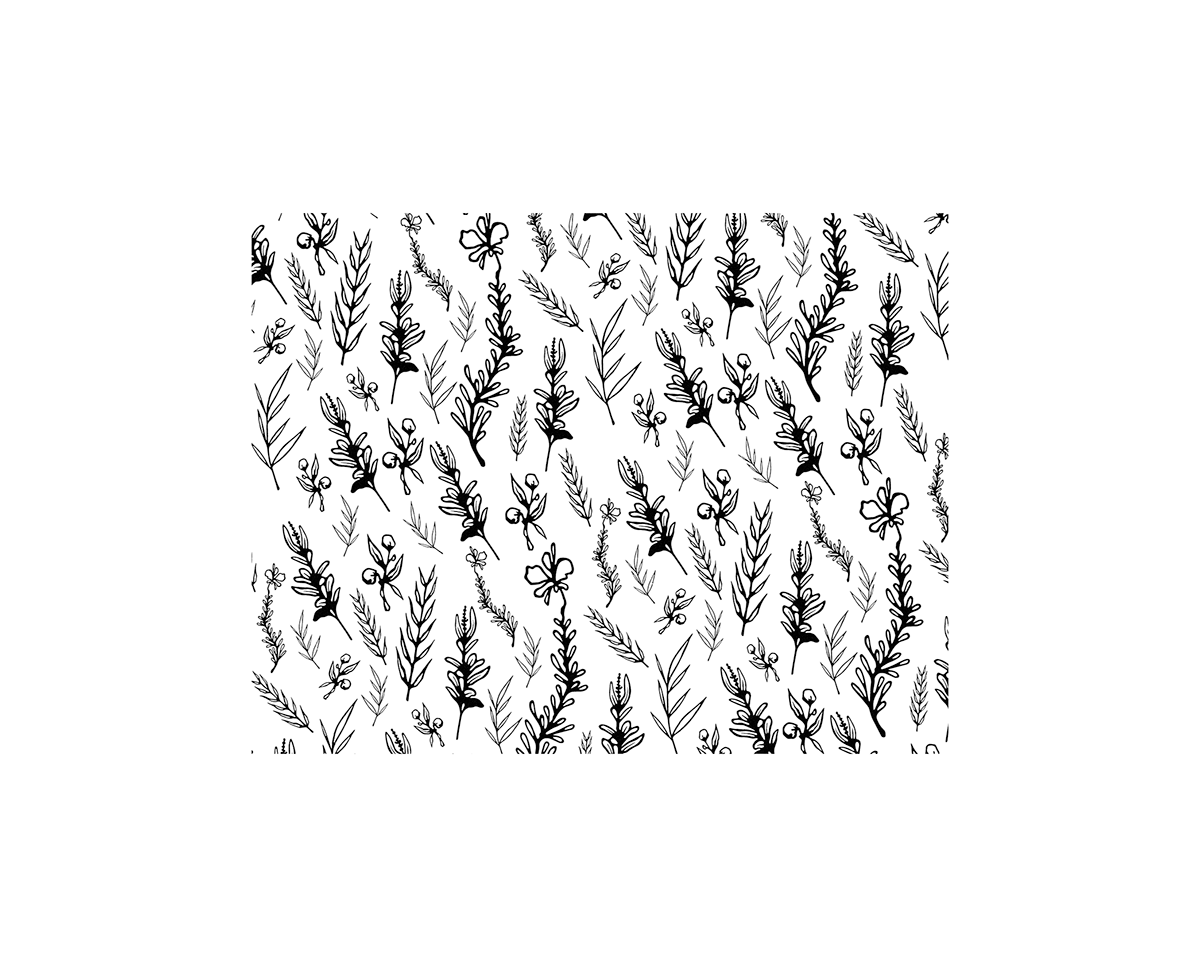 blackandwhite design dibujo draw Drawing  ILLUSTRATION  pattern plants print textile