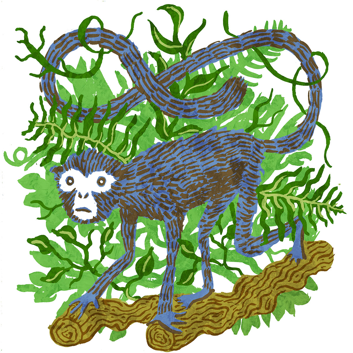 WWF World Wildlife Foundation toy puppet jaguar macaw monkey sloth Amazon rainforest Sustainability green adaa_2015 adaa_school western_washington_university adaa_country united_states