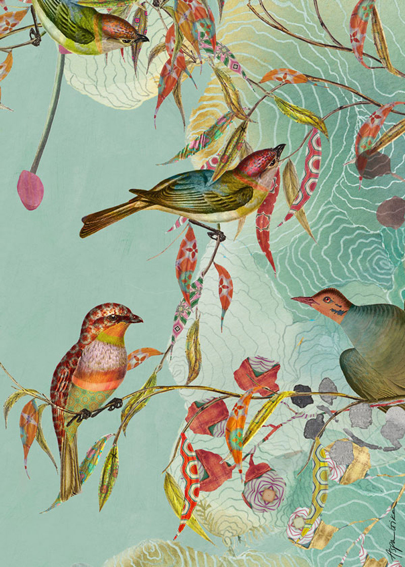 Colorful Imaginary birds and patterned florals surrounded by hand-painted organic shapes of abstract
