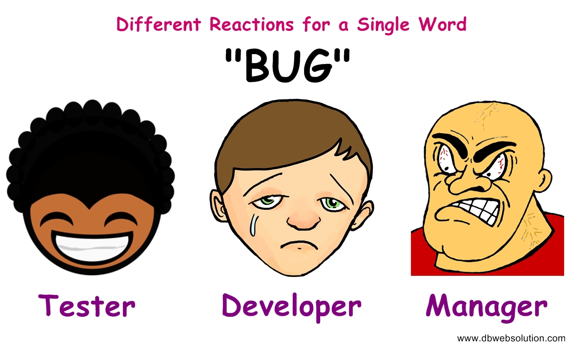 bug developer Tester manager Developer Tester Fight funny