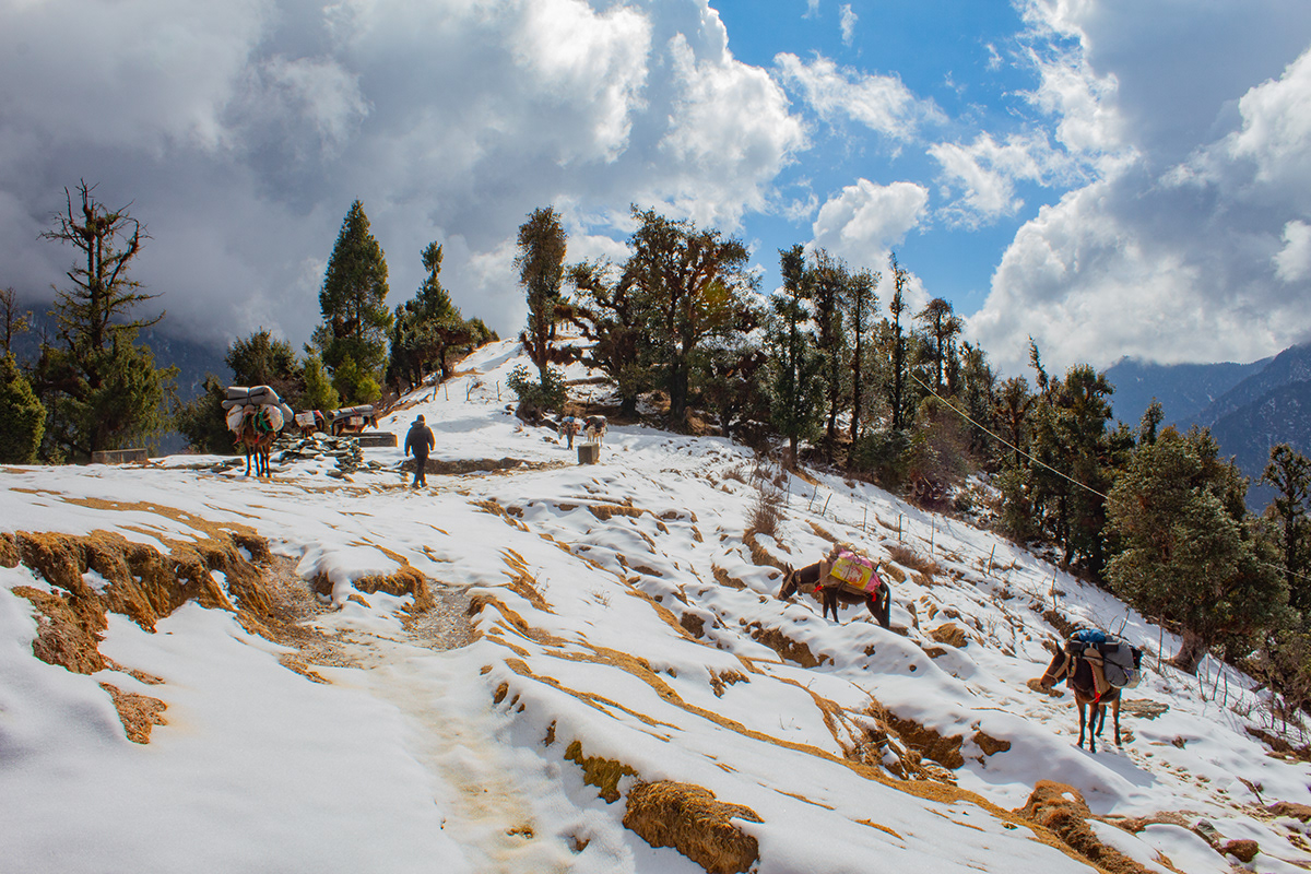 Landscape Photography  Nature mountains trekking hiking snow forest India himalayas