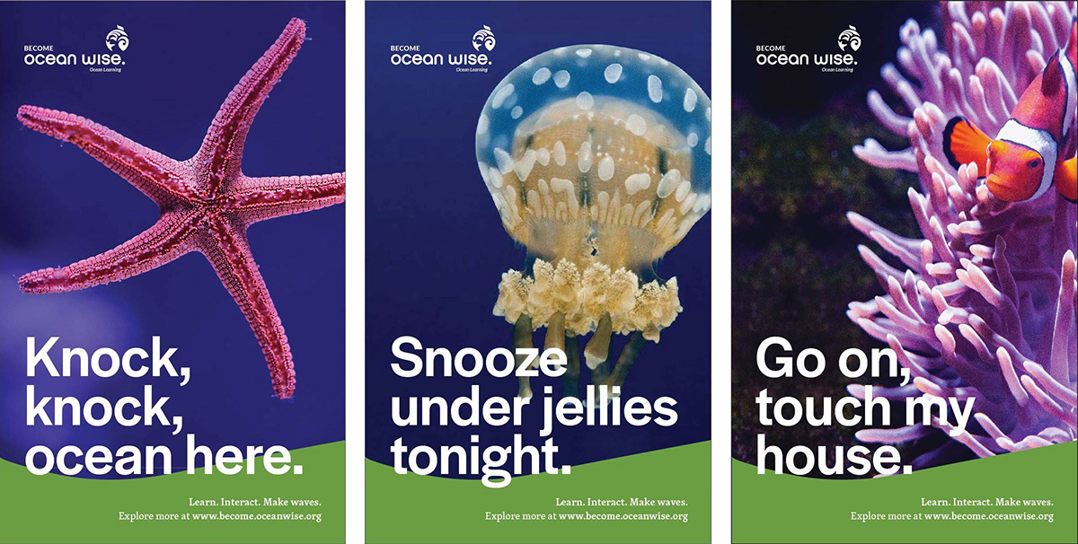 aquarium branding  graphic design  ocean conservation vanaqua vancouver
