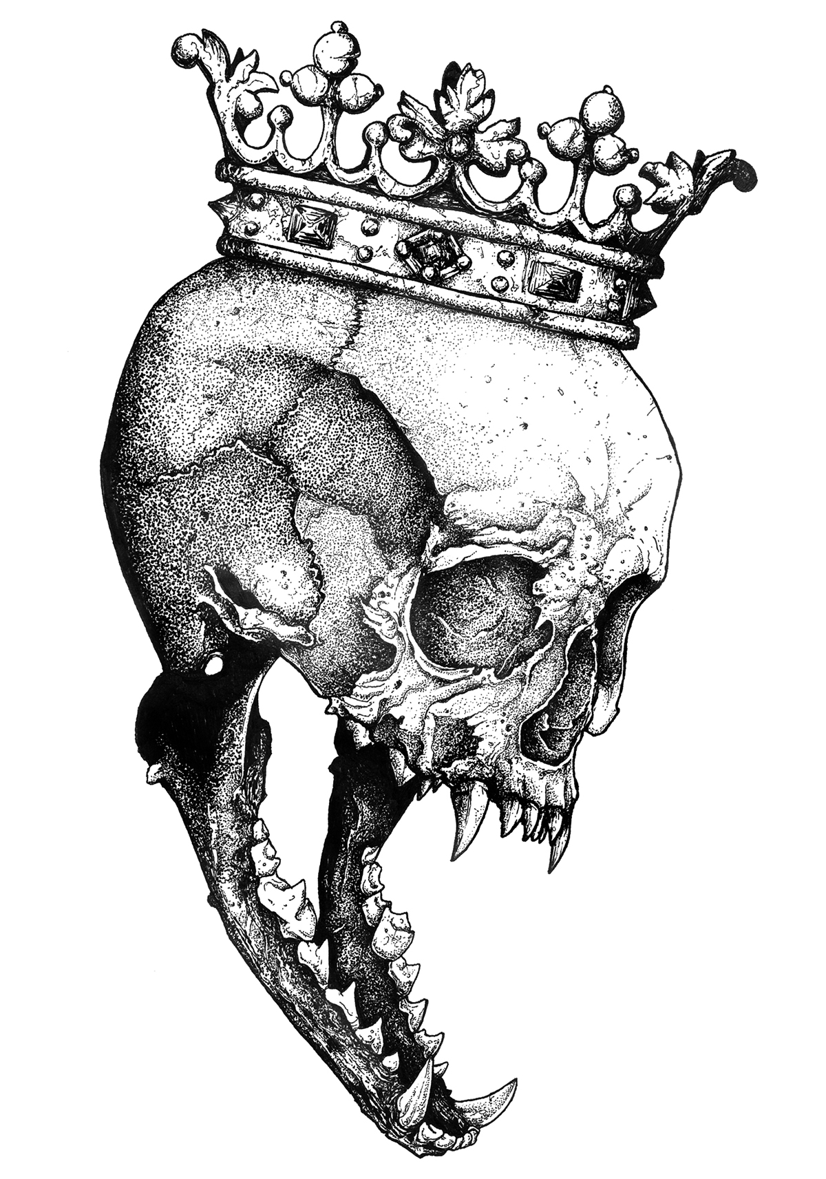 skull dotwork vampire bones blackandwhite animals kings crown