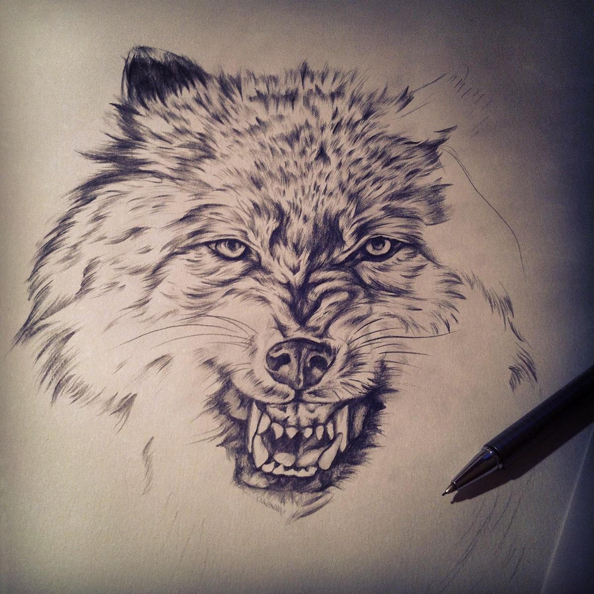 wolf pencil sketch for sale Original wolves animals Realism trees merch design merchandise