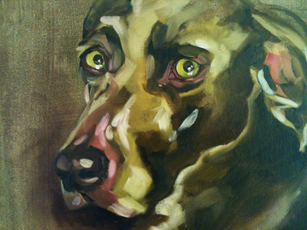 weimaraners   Dog Portraits oil painitng black dogs