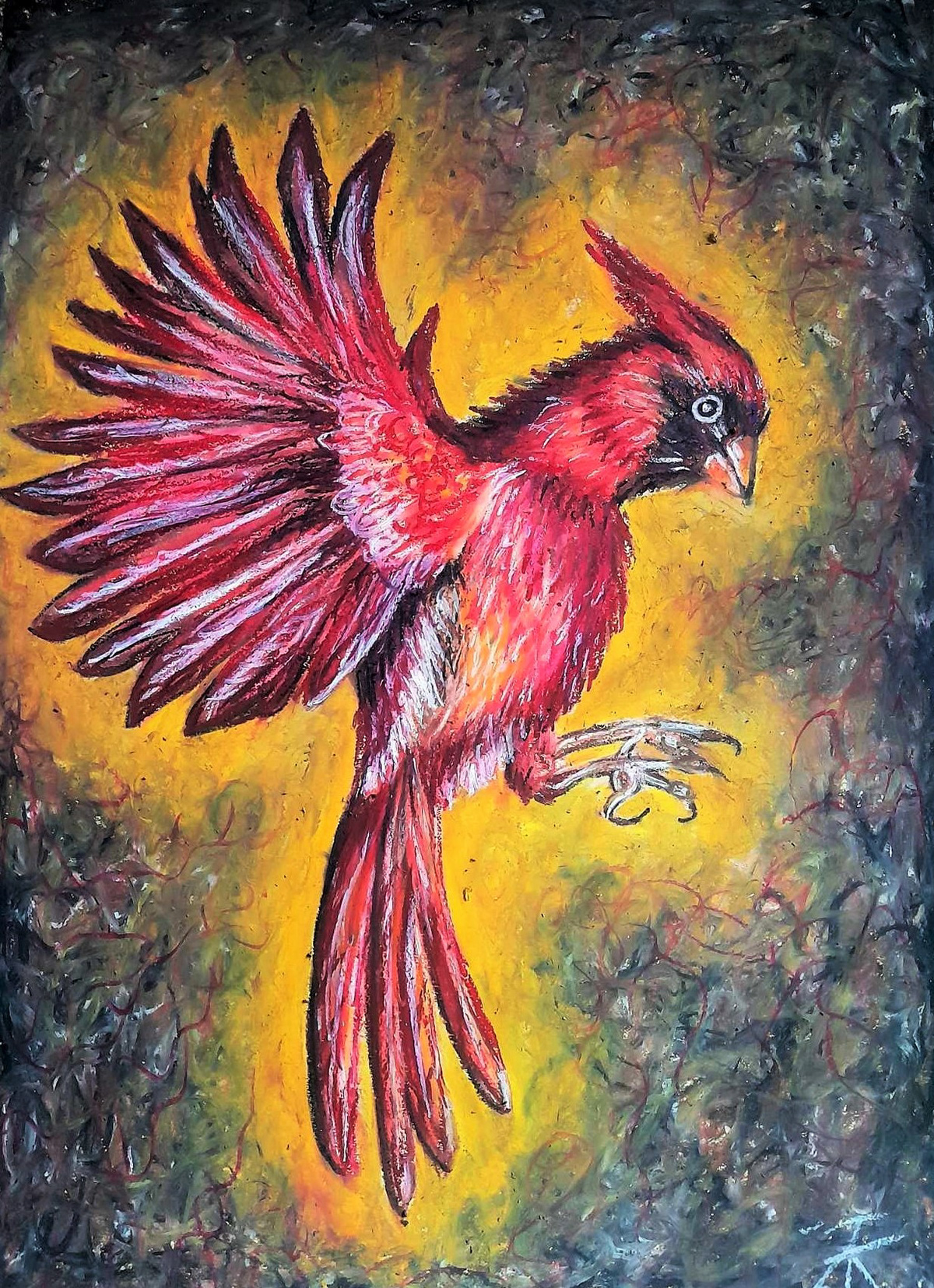 Drawing  cardinal bird drawing pastel drawing bird sketch cardinal bird red bird