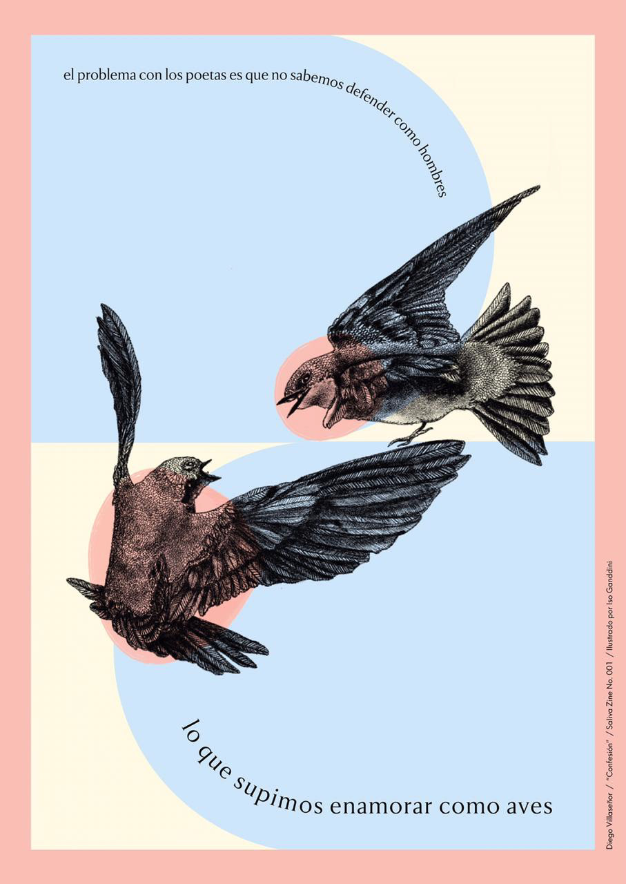 ILLUSTRATION  ilustracion Illustrator ilustradora Diseño editorial editorial birds Digital Art  digital illustration digital artist artista digital dibujo arte poesia Poetry 