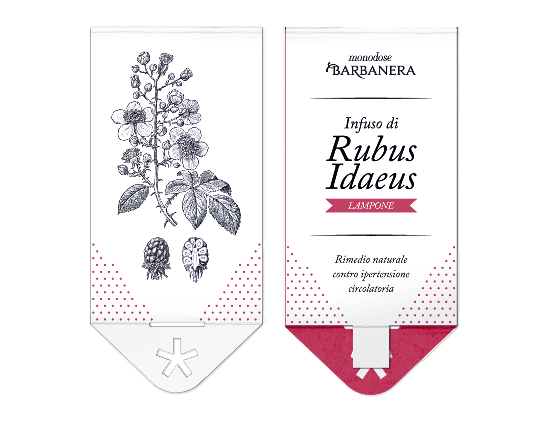 barbanera  workshop  tea  brew  herbal   herbarium   remedy  Chemist's  Herbalist's  polimi  Pirini  koala brand extension  Milan  Alchimy
