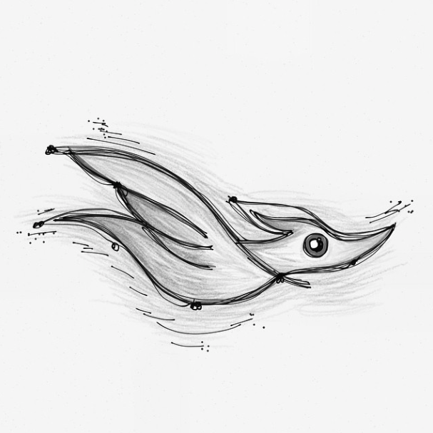 bird doodles paper fiftythree