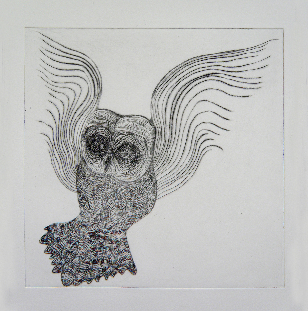 DryPoint  traditional printing birds  patterns
