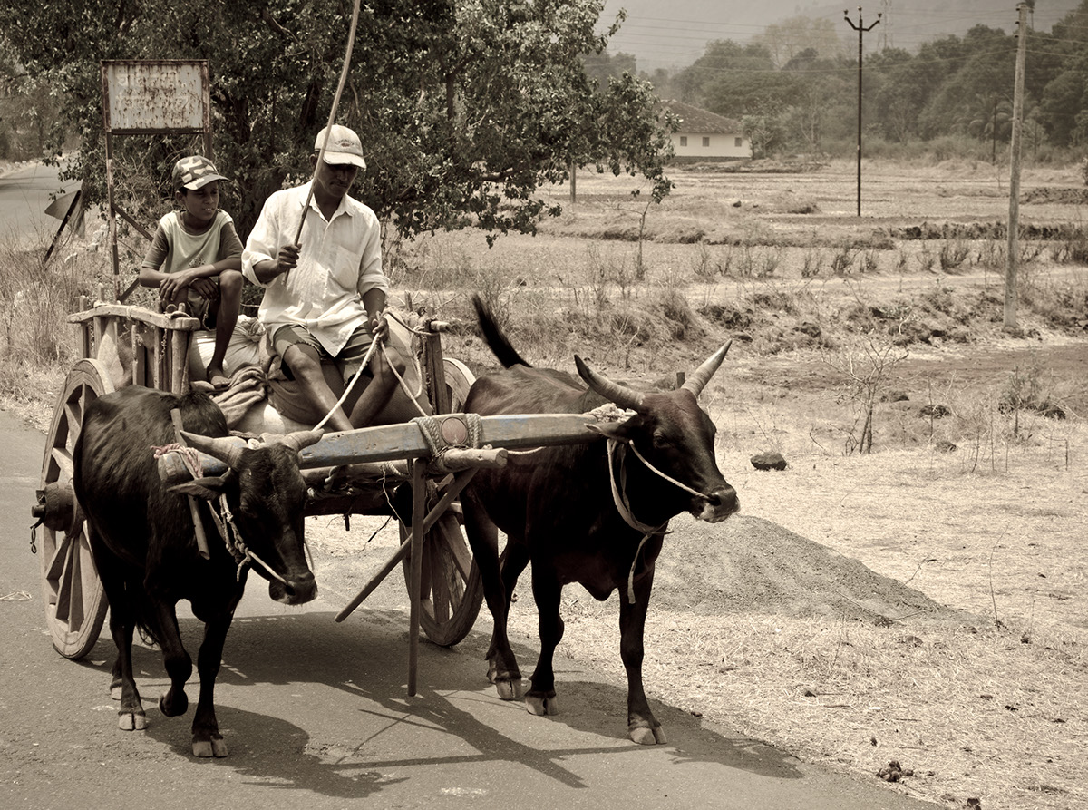 portraits rural village on the move Travelling