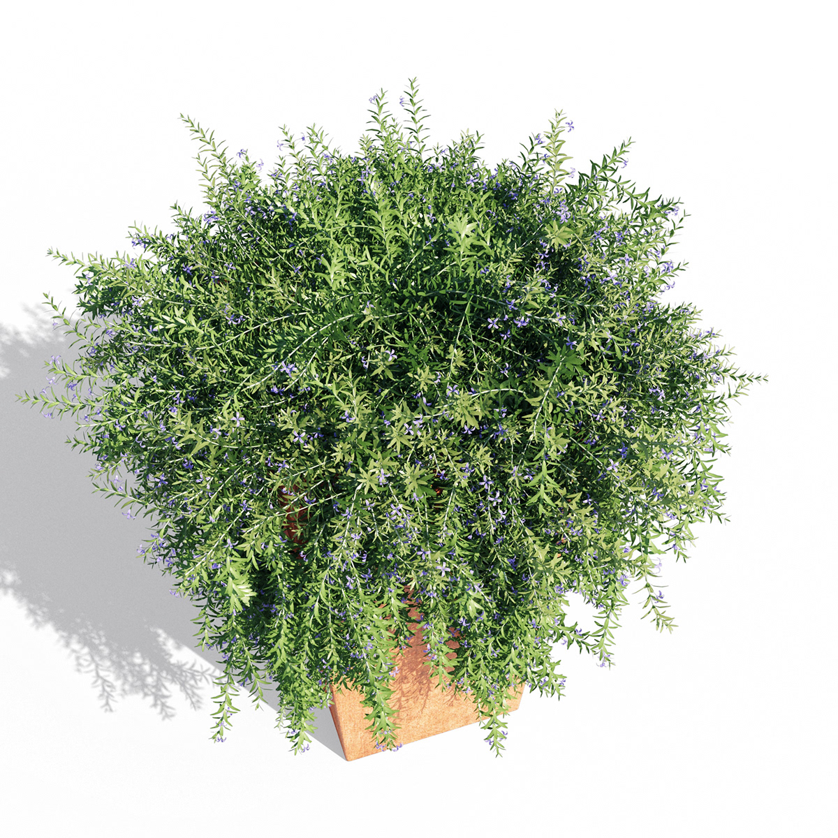 3D model Interior Plant pot Tree 