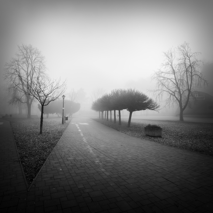 Czech Republic city Teplice MORNING fog mist Park pleasure ground