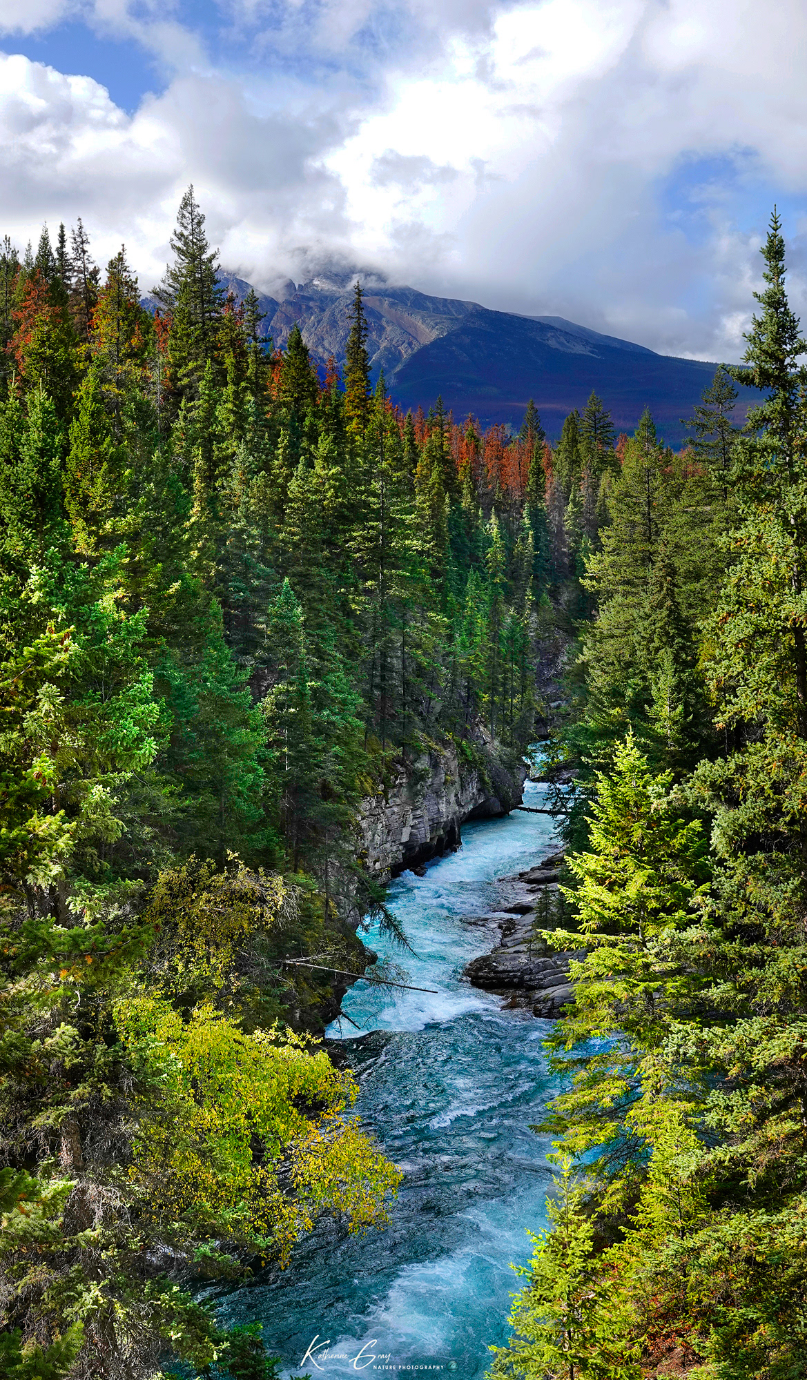 Athabasca River forest Jasper Park Maligne Canyon National Park river river scapes rock formations rugged water