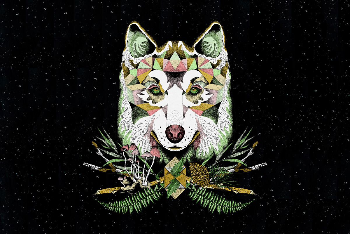 electronic Event festival music poster wolf