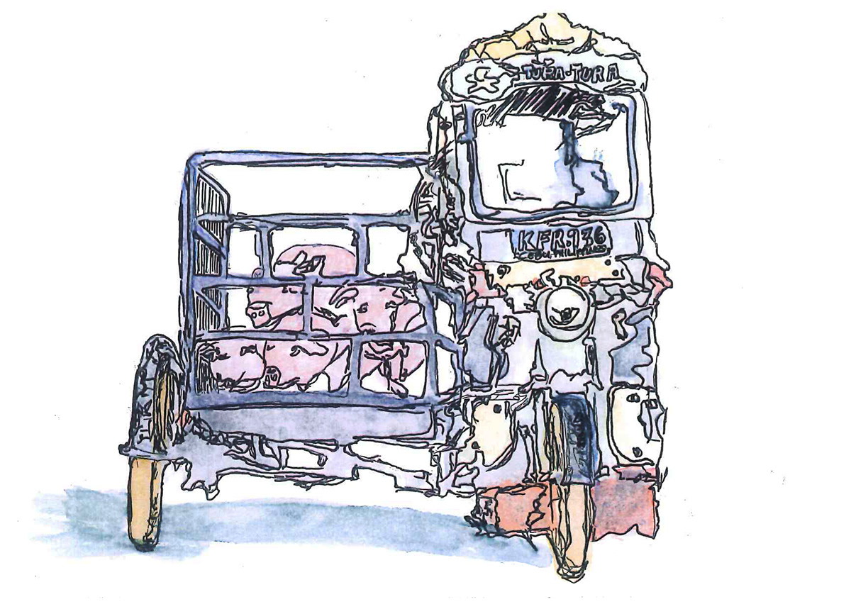collective work culture illustrations locality Logistics Sustainability transportations watercolor philippines