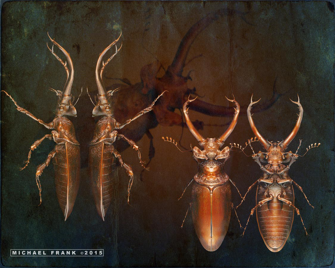 Nature Zbrush Landscape insect