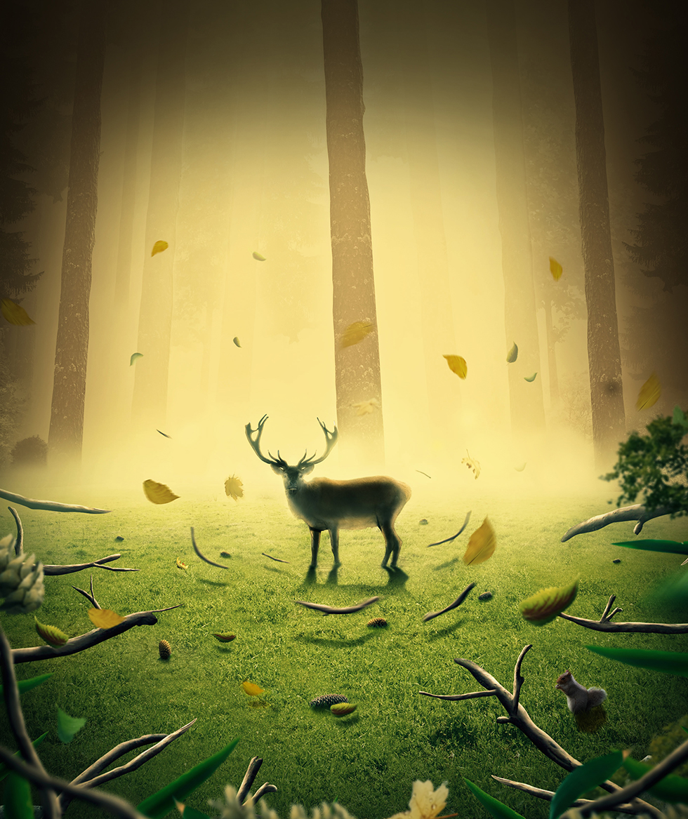 alone deer woods falling leaf Scary squirrel grass lonely Matte Painting yellow green brown fir