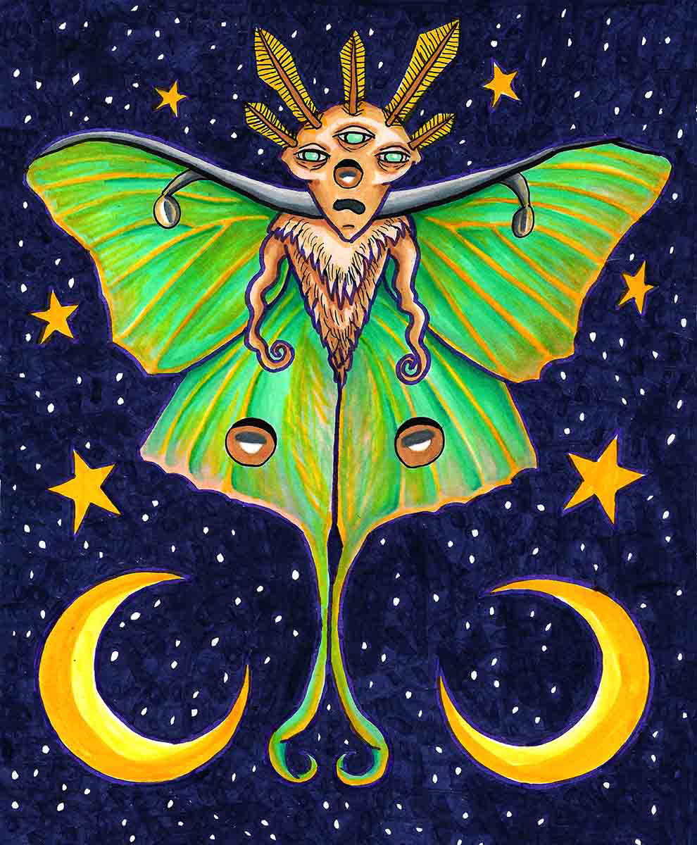 vinyl stickers stickers luna moth moth illustration ILLUSTRATION  Marker Drawing