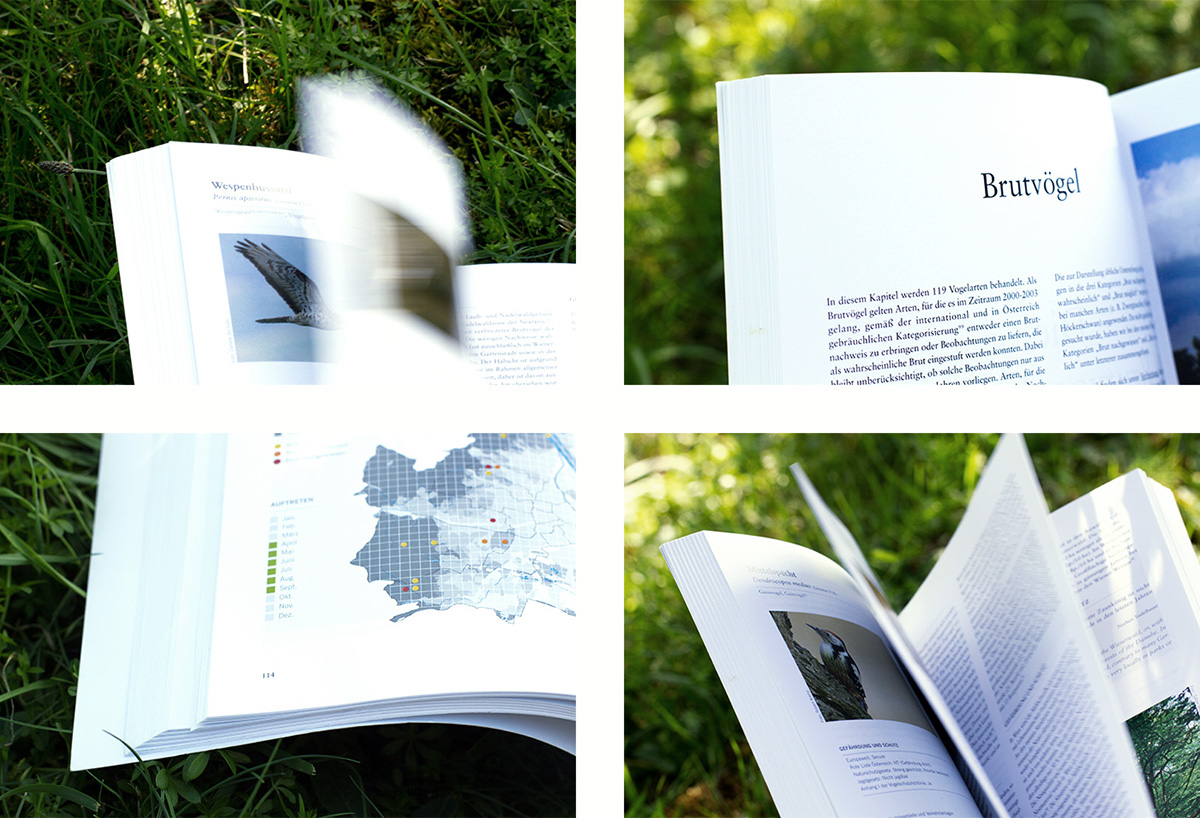 editorial design  book atlas bird Nature birdlife protection infographics bird species Layout