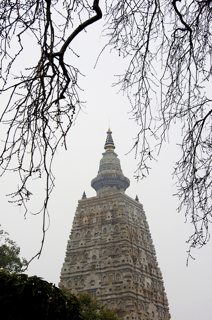 Pallon daruwala varanasi Bodhgaya sarnath Buddha stupa nirvana