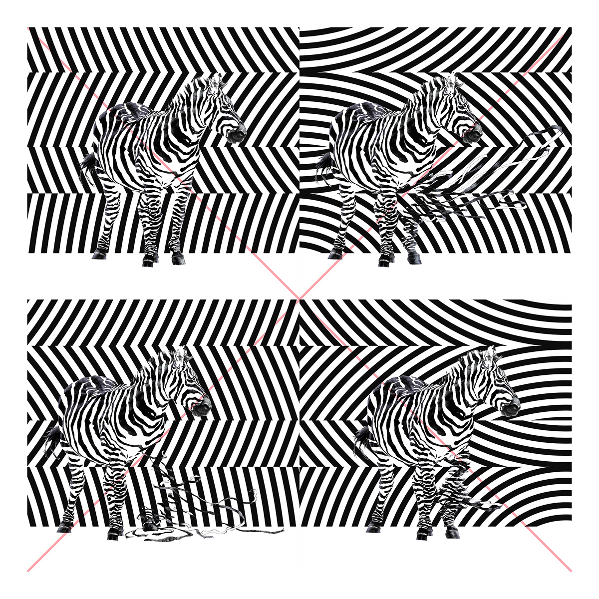 art Andy Warhol black and white zebra rebel