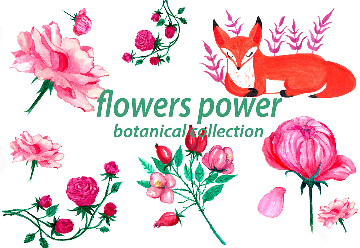botanical Flowers blooming Watercolor painted petald pink garden floral bundle wedding elements Invitation