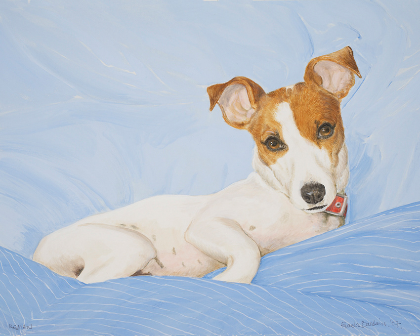 Dog Portraits labs Bloodhounds Canine police Fox Hounds Whippets Jack Russells German Shepherds Canine portraits dog paintings Dog drawings animal images Red Heelers Dachunds