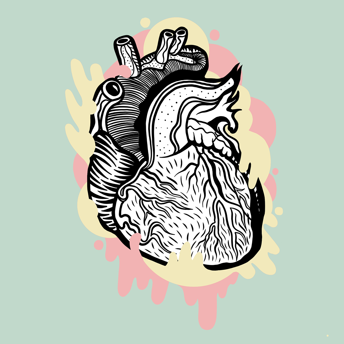 Adobe Portfolio Advertising  agency app Health heart iphone organ organs wallpaper