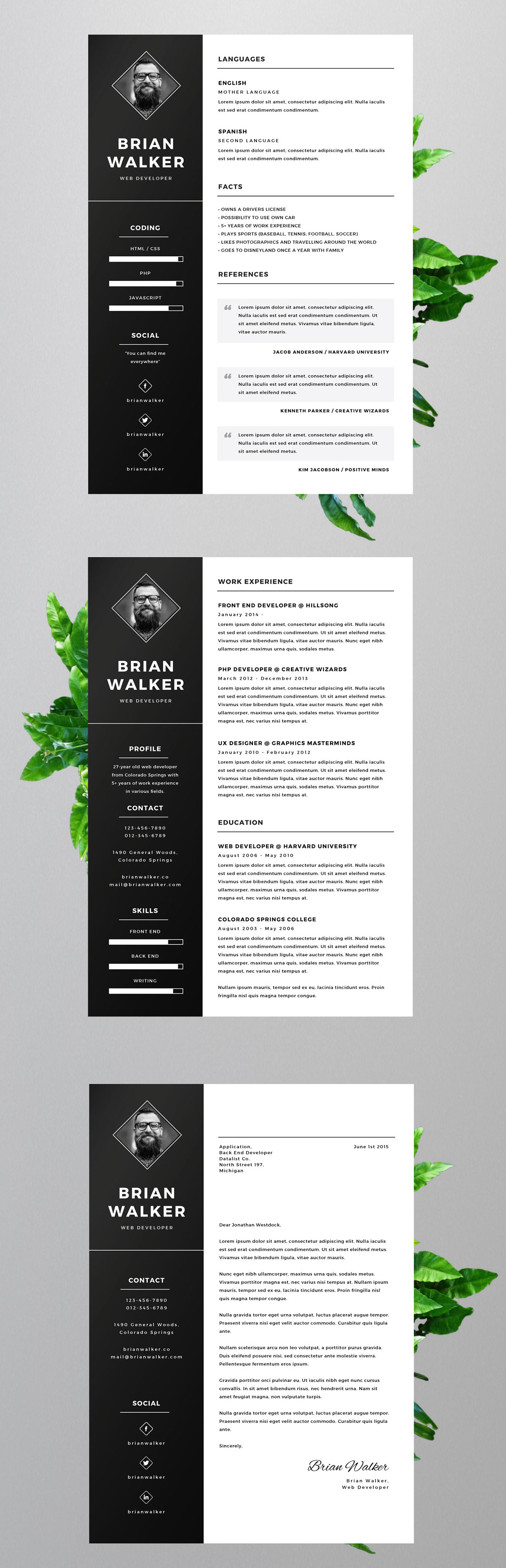 free freebie Resume template psd ai doc docx word Microsoft photoshop Illustrator CV Curriculum Vitae application