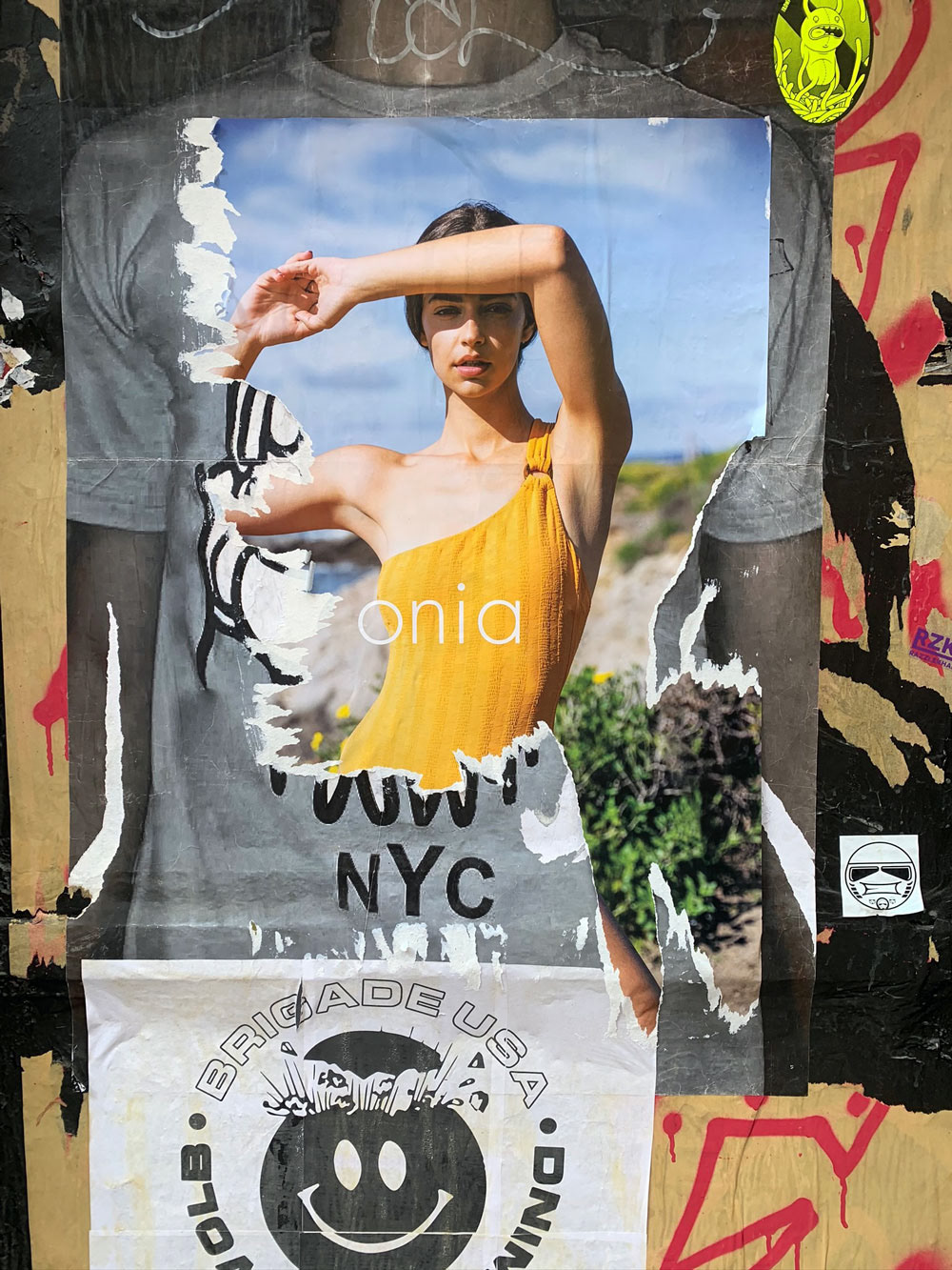 wheatpasting print design  Advertising  print advertising safari collage Photography  nyc Brooklyn branding 
