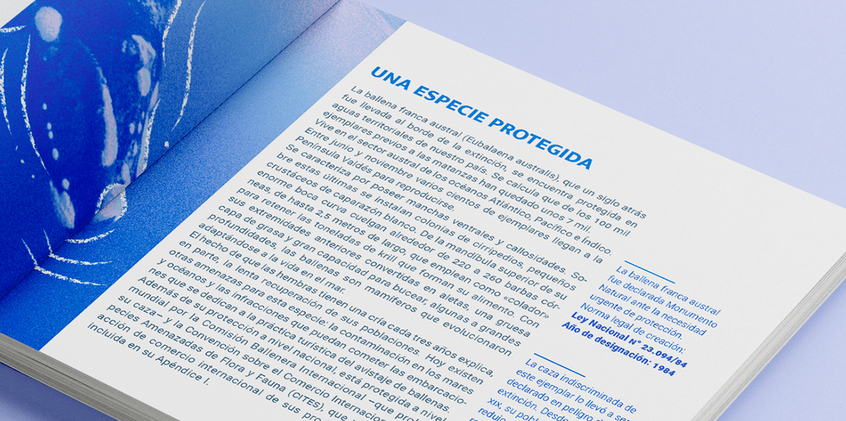 book book design brochure Diseño editorial editorial InDesign libro tipografia typography  