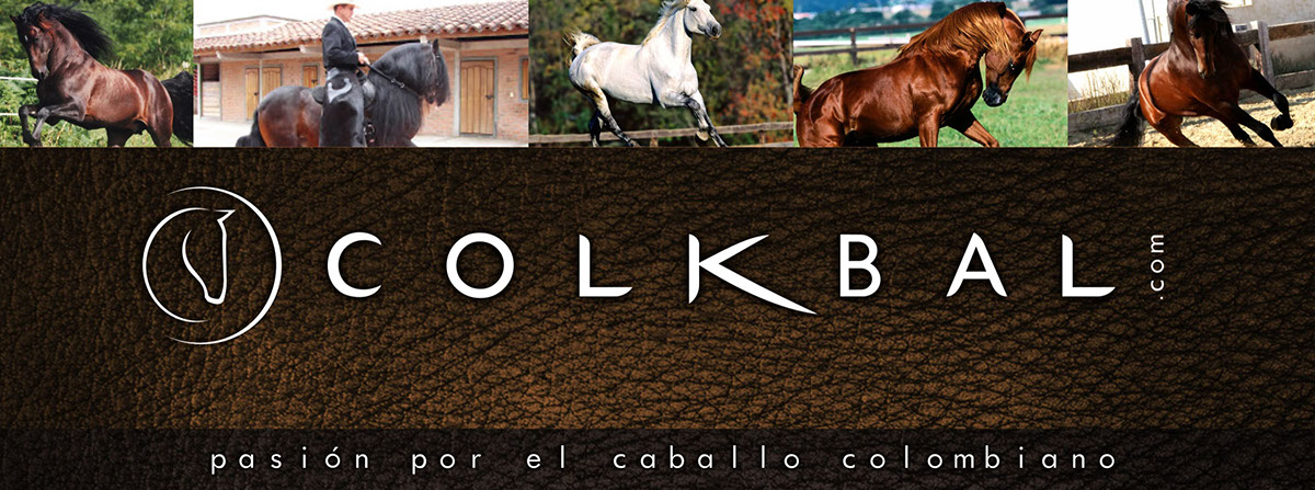 horses colombia caballos Logotipo NUEVO cuero pasion brand