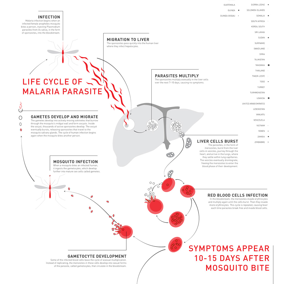 malaria infographic