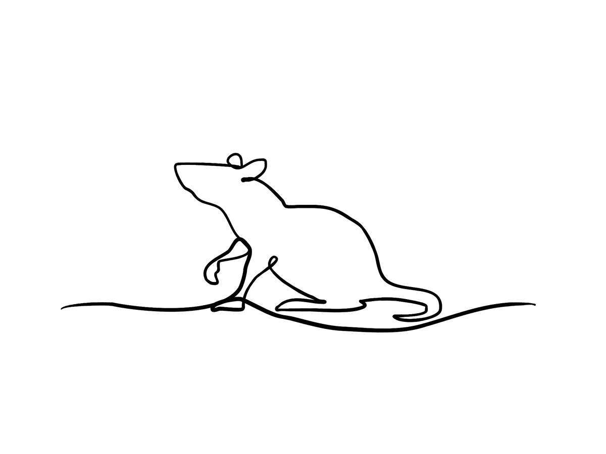 animal  Animal illustration single line drawing line drawing vet illustration  Illustration david hallangen