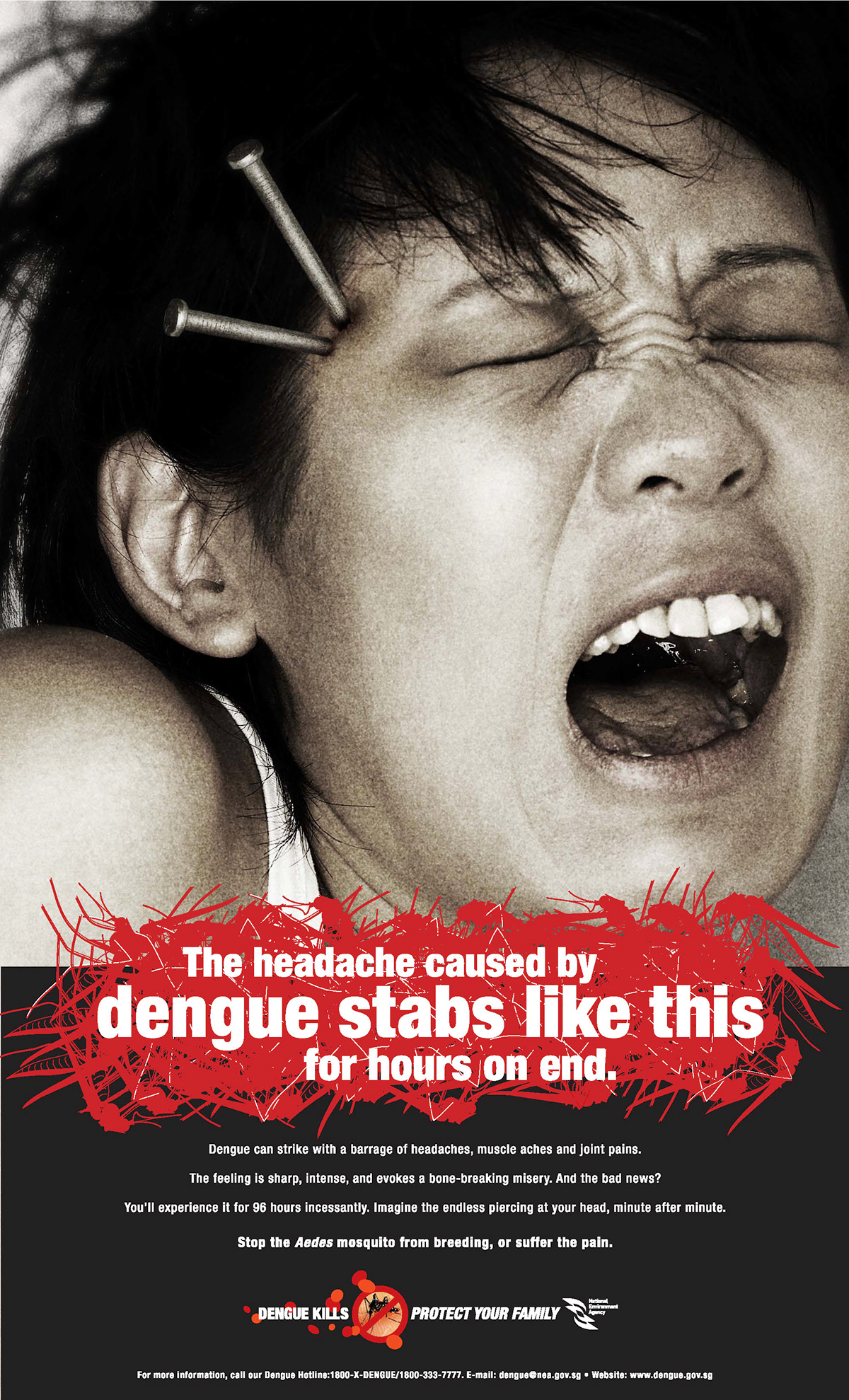 National Environment Agency Anti-Dengue singapore ADK integrated tvc print Outdoor Radio public service