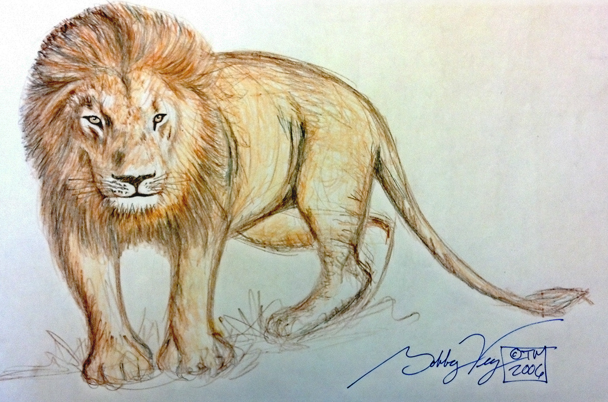 animal illustration