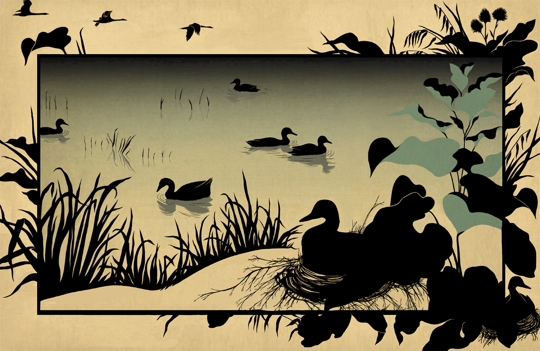Hans Christian Andersen The Ugly Duckling Silhouette tale