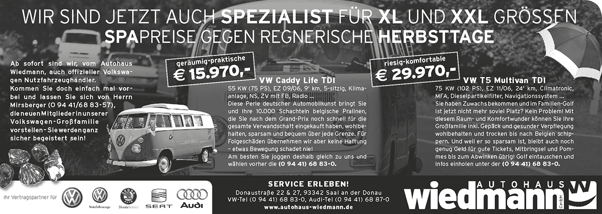 Adobe Portfolio advertisings small ads newspaper textwork funny ads car dealer