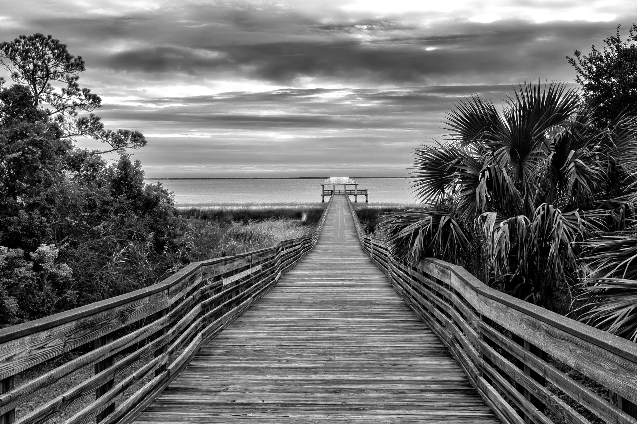 Boardwalk leading to dock Apalachicola, FL