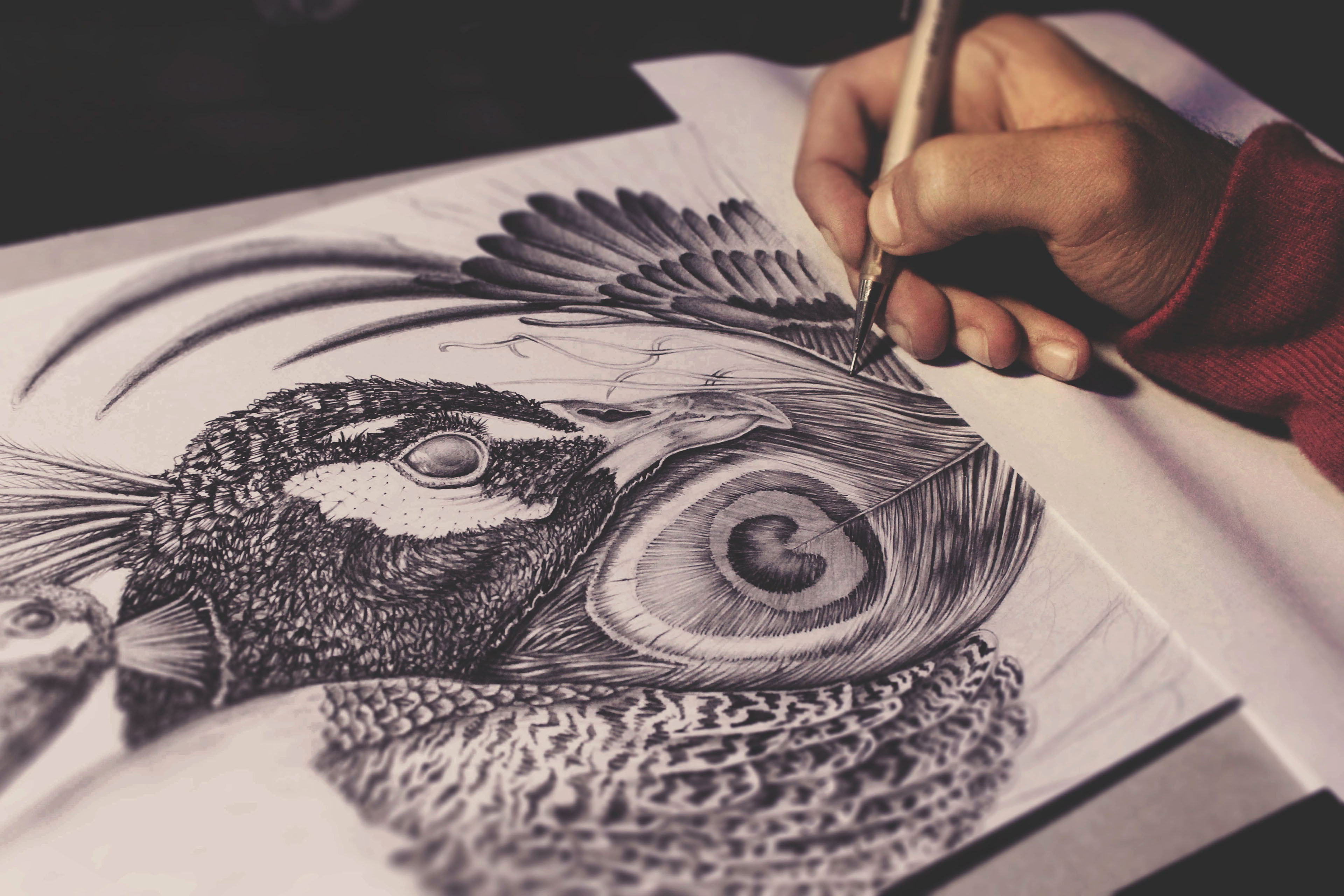 Black and white pencil drawing of a peacock on Craiyon-saigonsouth.com.vn