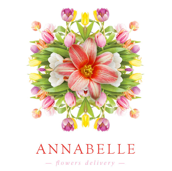 Flowers annibell 'Annabelle' Is