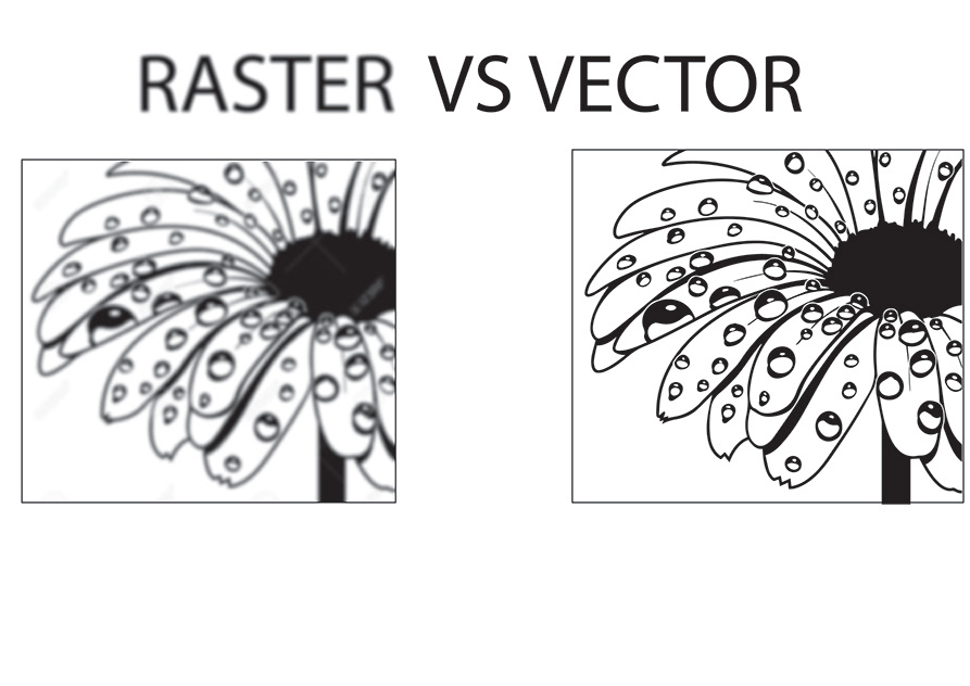 Image tracing, Vector trace or Recreate any logo or image
