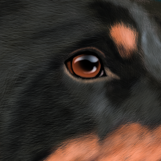Digitally painted Rottweiler dog on Behance