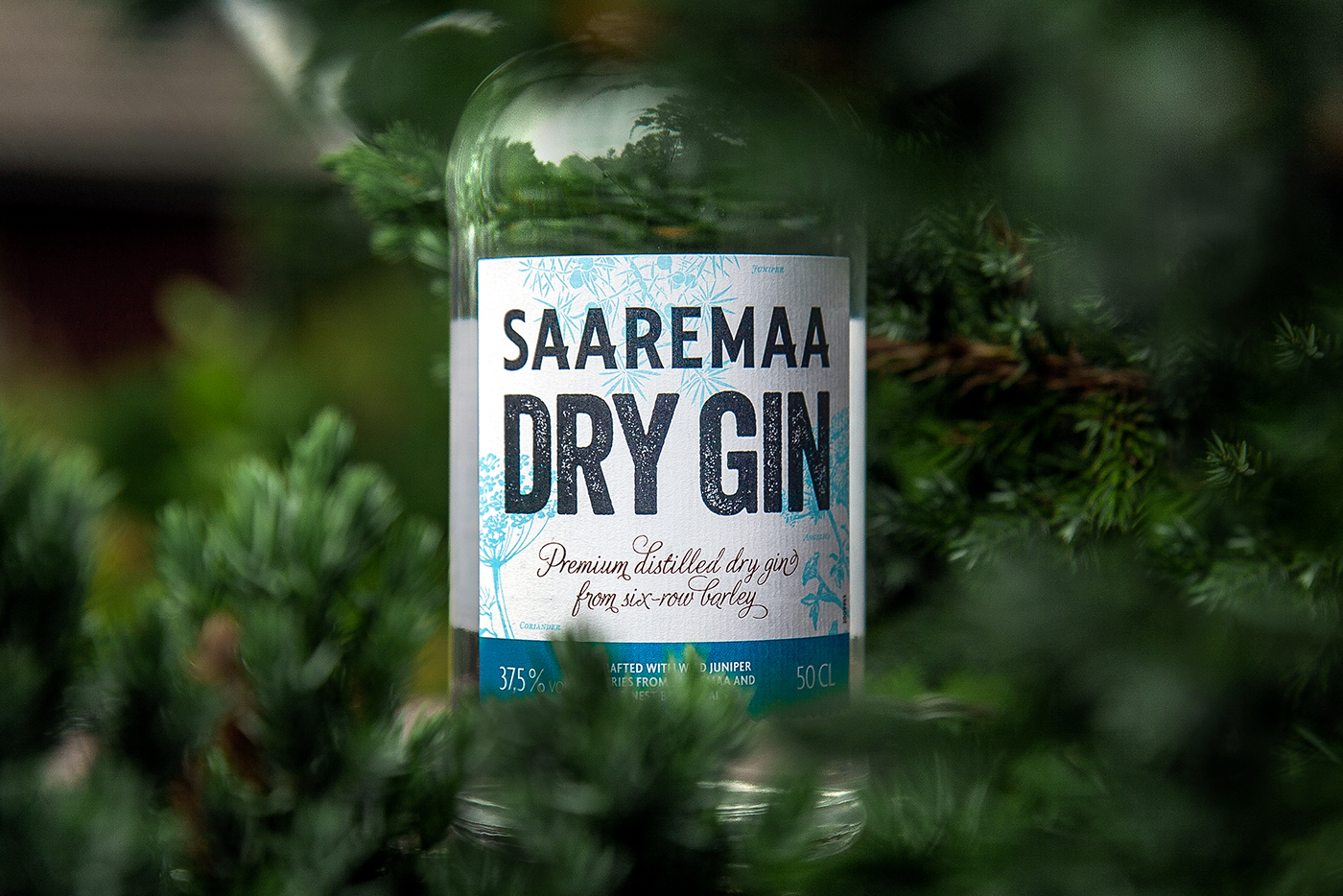 Saaremaa Gin – Launch