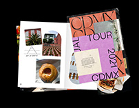 CDMX Virtual Tour - Travel Journal